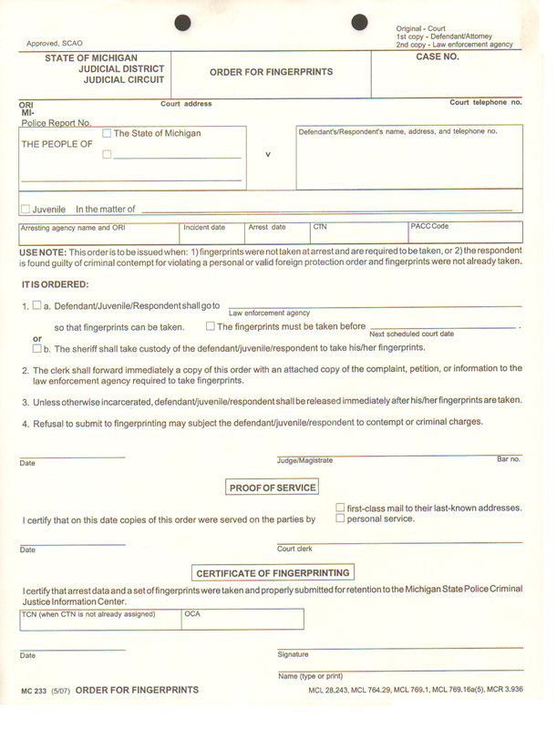 MICHIGAN SCAO APPROVED COURT FORM MC233