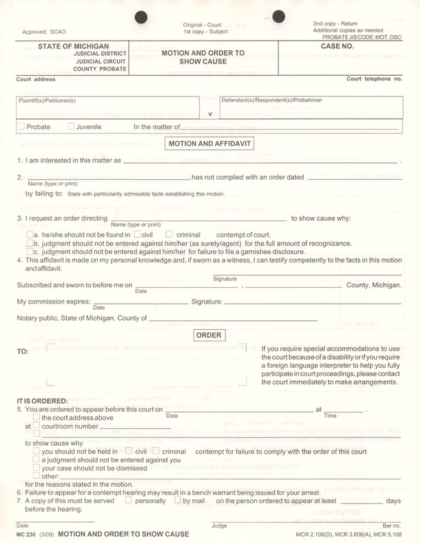 MICHIGAN SCAO APPROVED COURT FORM MC230